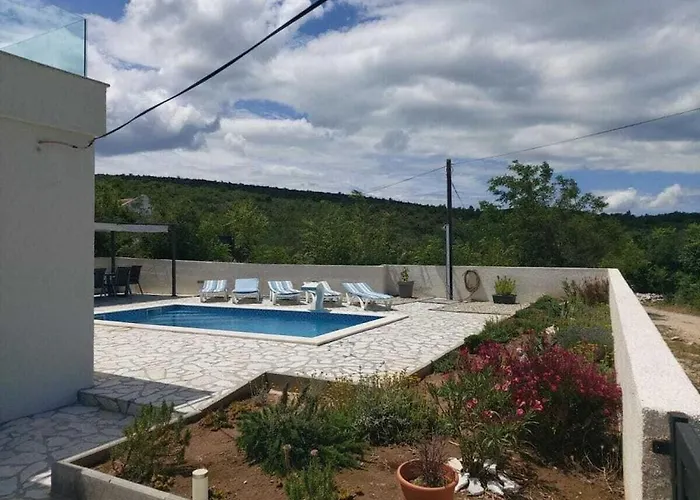 Anna Comfortable 빈예라크